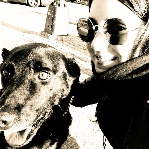 Meet your Posher, Rikki - Picture 1 of 1